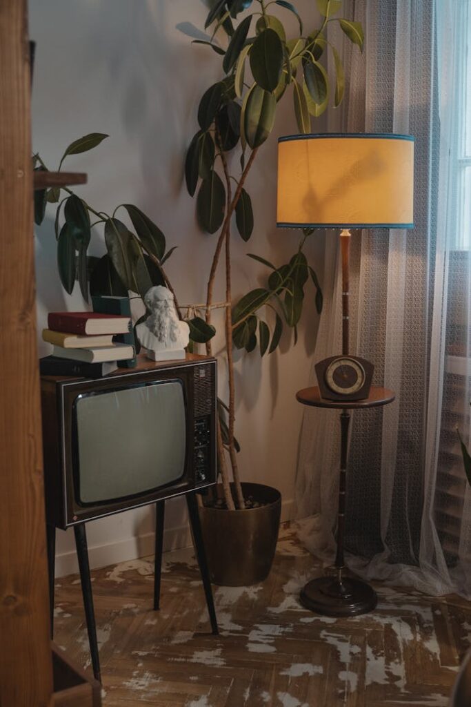 A vintage living room corner featuring a CRT TV, potted plant, and retro lamp.